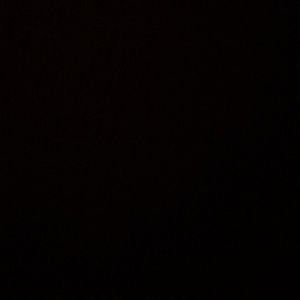 Meet your Posher, Reese